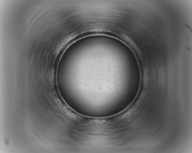 X0000100390831200806130950