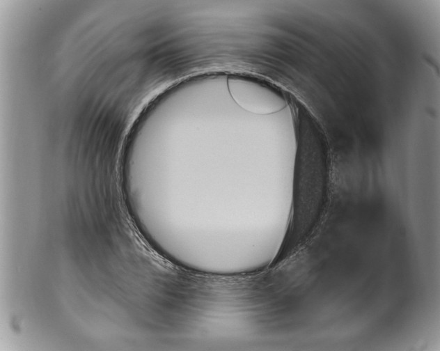 X0000100390832200806130950