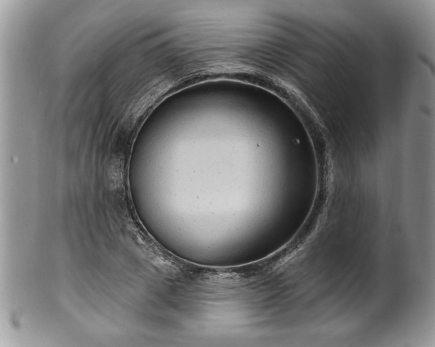 X0000100390833200806130950