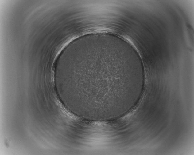 X0000100390835200806130950