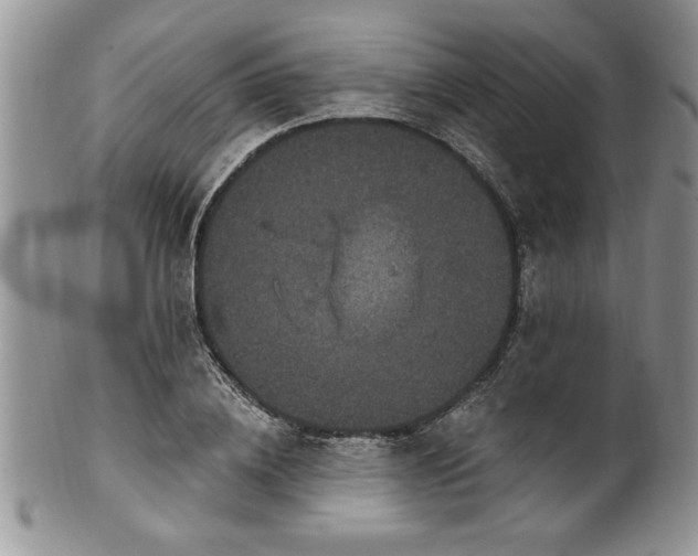 X0000100390836200806130950