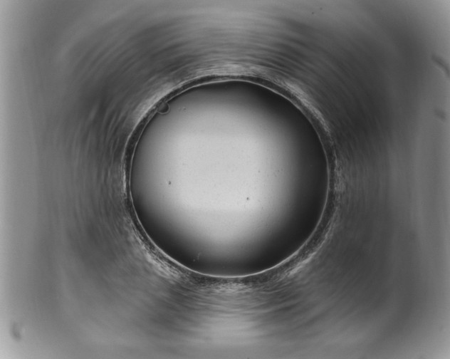 X0000100390837200806130950