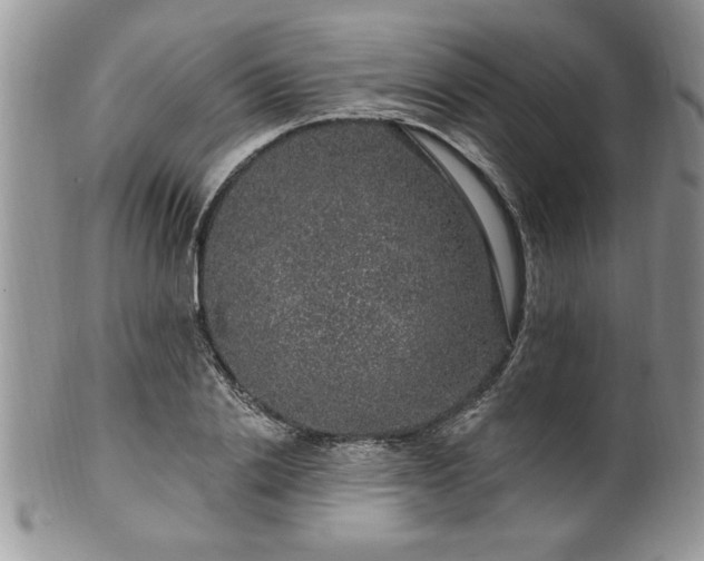 X0000100390838200806130950