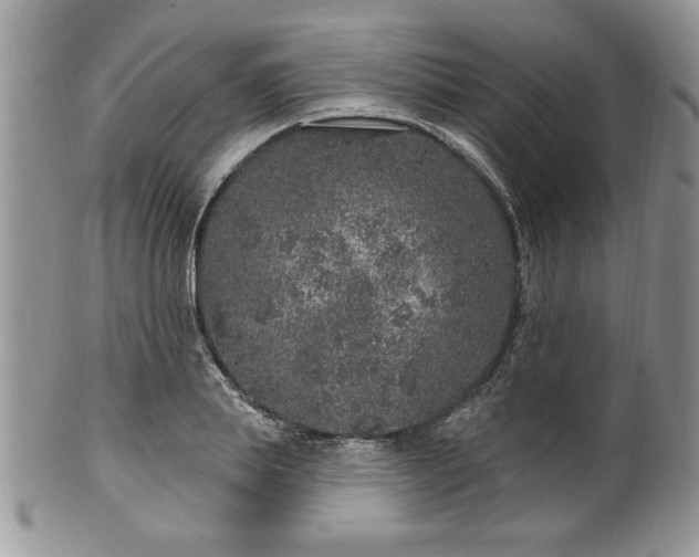 X0000100390839200806130950