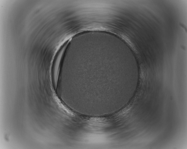 X0000100390840200806130950