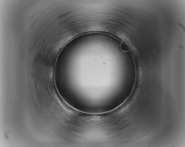 X0000100390841200806130950