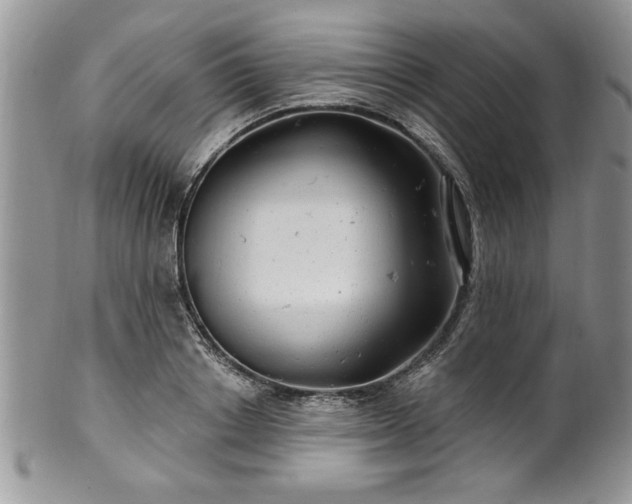 X0000100390842200806130950