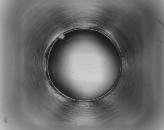 X0000100390843200806130950