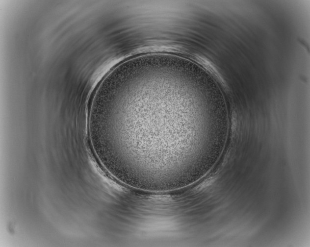 X0000100390844200806130950