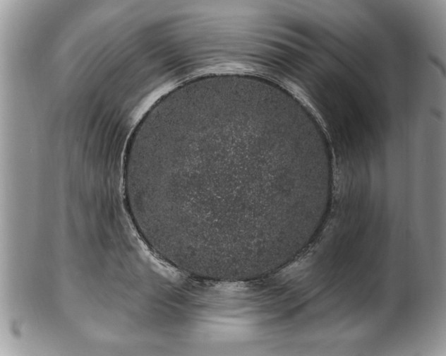 X0000100390845200806130950