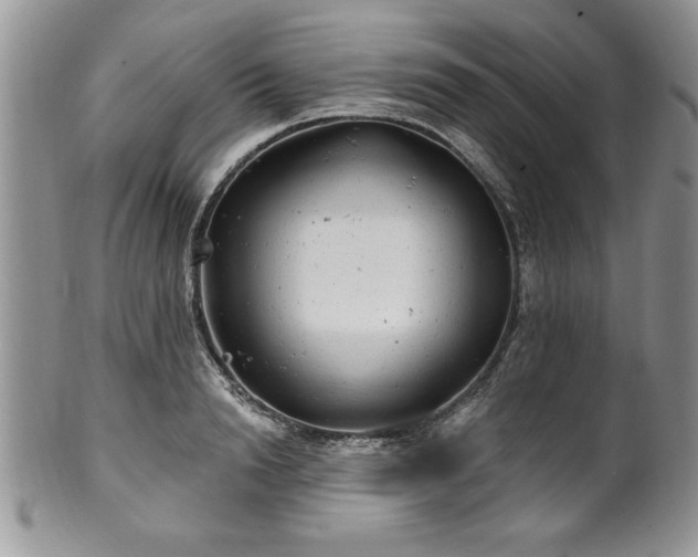 X0000100390846200806130950