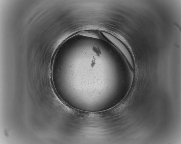 X0000100390847200806130950