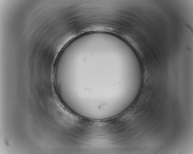 X0000100390848200806130950