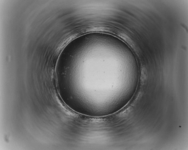 X0000100390849200806130950