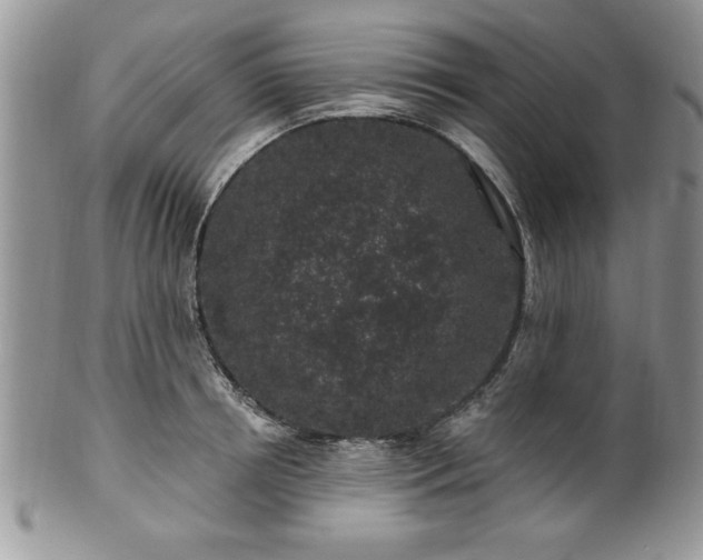 X0000100390850200806130950