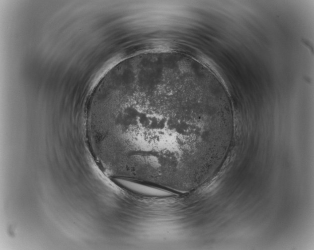 X0000100390851200806130950