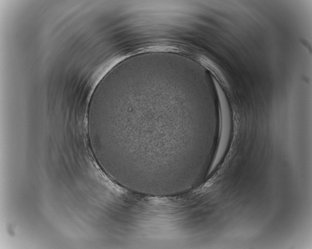 X0000100390852200806130950