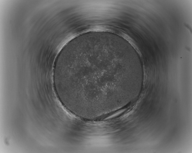 X0000100390853200806130950