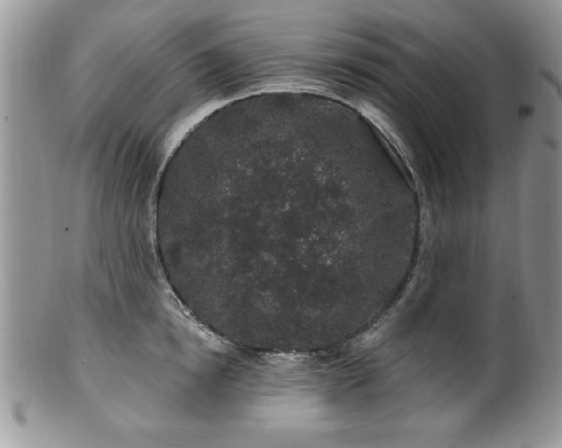 X0000100390854200806130950