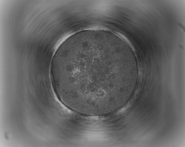 X0000100390855200806130950