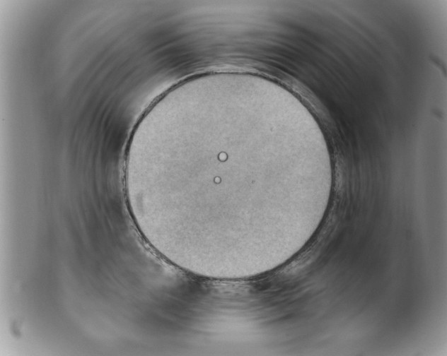 X0000100390856200806130950