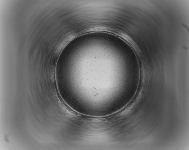 X0000100390857200806130950