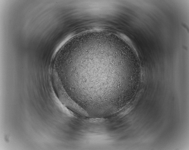 X0000100390859200806130950