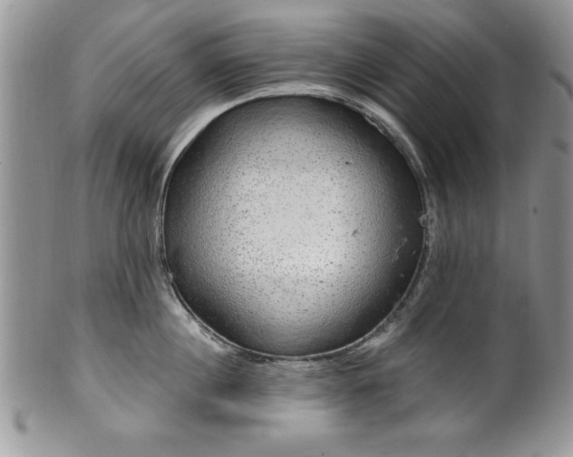 X0000100390860200806130950