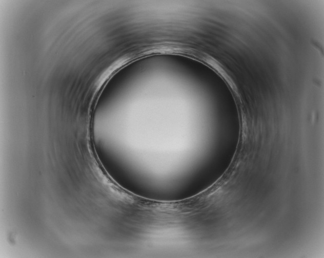 X0000100390861200806130950