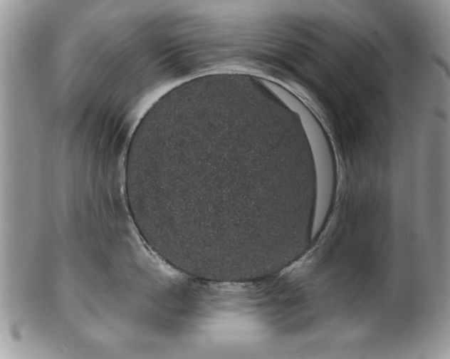 X0000100390862200806130950