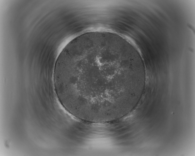 X0000100390863200806130950