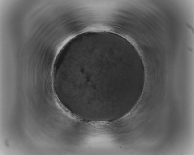 X0000100390864200806130950