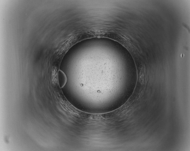 X0000100390866200806130949