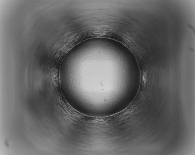 X0000100390867200806130949