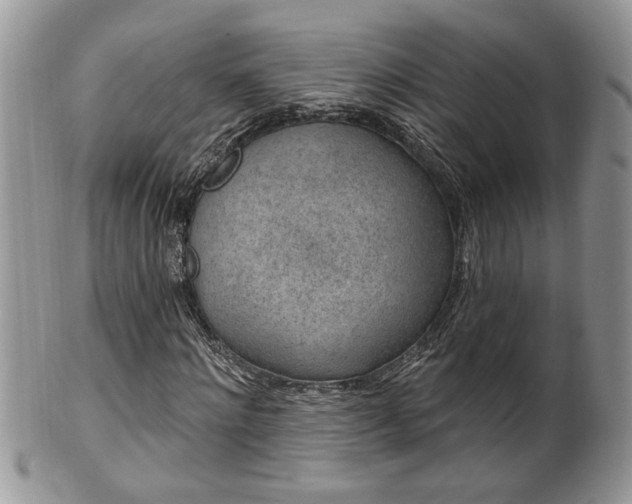 X0000100390868200806130949