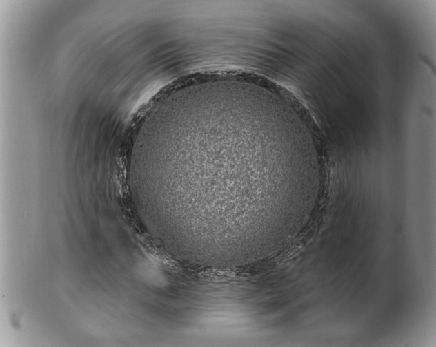 X0000100390871200806130949