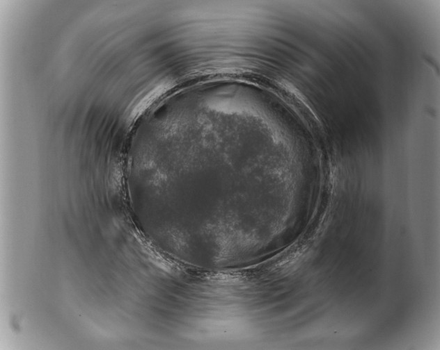 X0000100390874200806130949