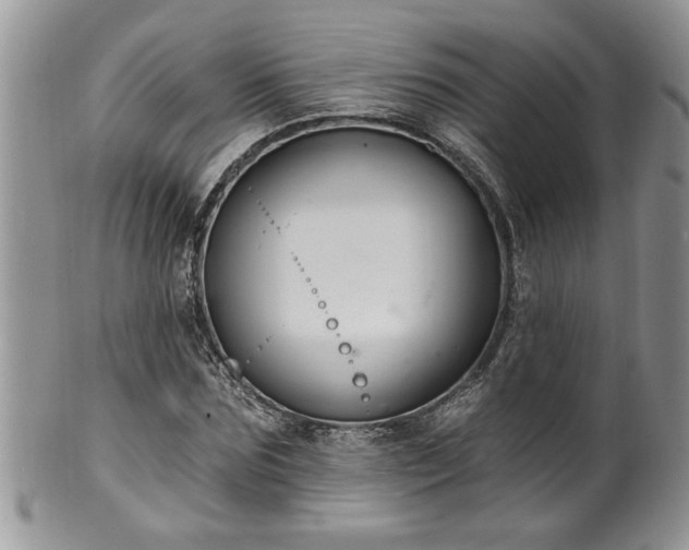 X0000100390875200806130949