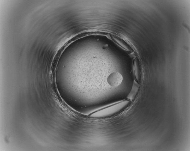 X0000100390876200806130949