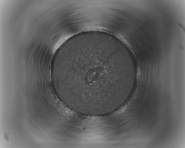 X0000100390877200806130949