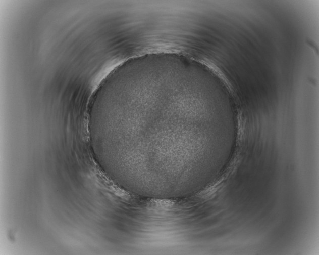 X0000100390878200806130949