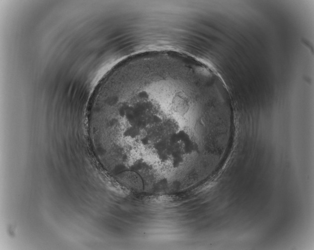 X0000100390879200806130949