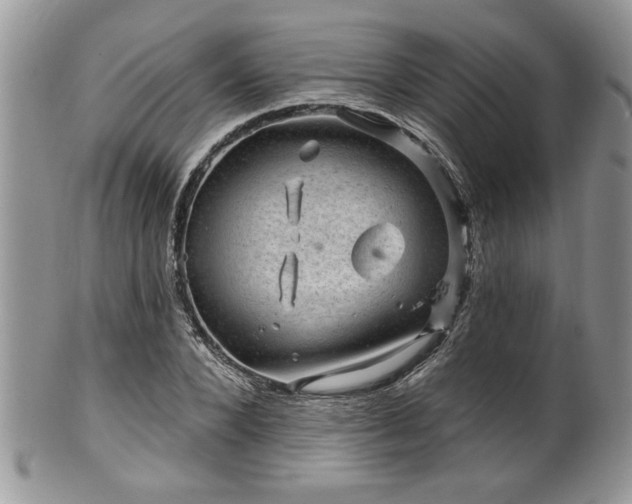 X0000100390880200806130949