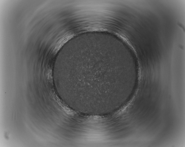 X0000100390881200806130949