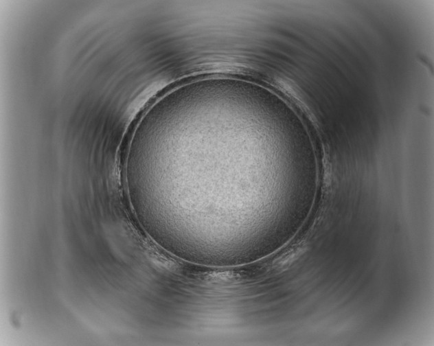 X0000100390883200806130949