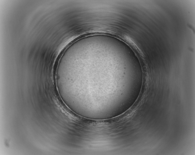 X0000100390884200806130949