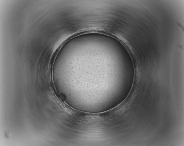 X0000100390886200806130949