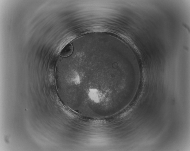 X0000100390889200806130949