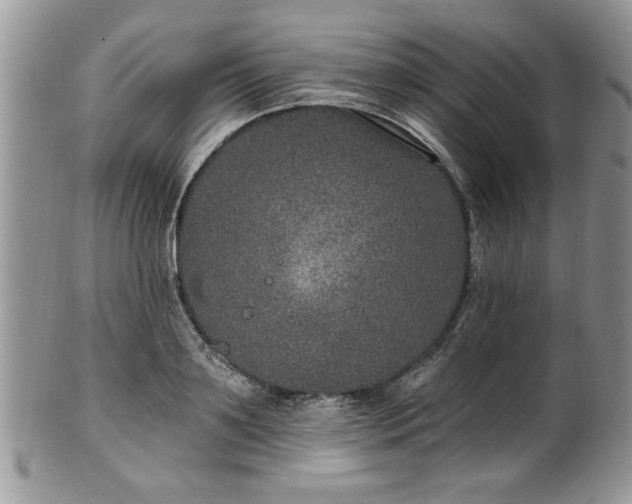 X0000100390891200806130949