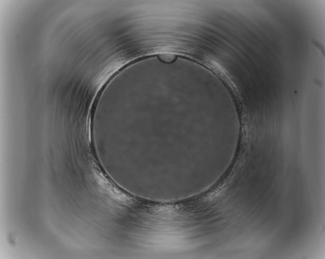 X0000100390892200806130949